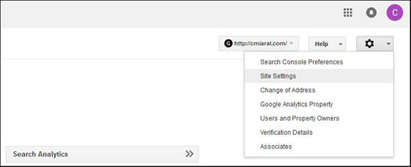 Set Canonical Domain on Google Search Console